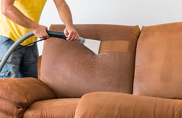 How Steam Cleaners In Melbourne Can Transform Your Home